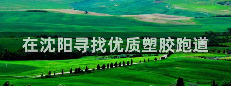 红足一1世666814足球比分网:在沈阳寻找优质塑胶跑道