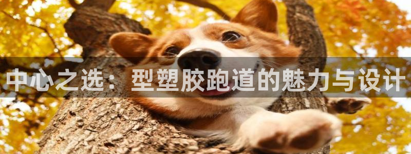 红足i世足球手机网：中心之选：型塑胶跑道的魅力与设计