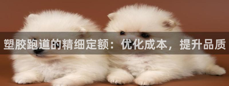 红足1世足球比分 localhost:塑胶跑道的精细定额:优化成本,提升品质