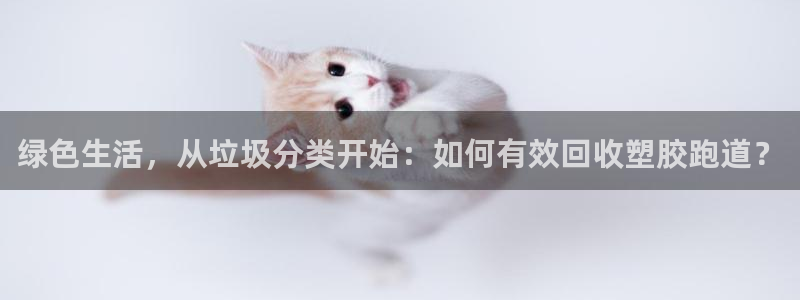 红足1世官网：绿色生活，从垃圾分类开始：如何有效回收塑胶跑道？