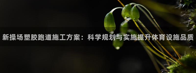 红足一丰：新操场塑胶跑道施工方案：科学规划与实施提升体育设施品质