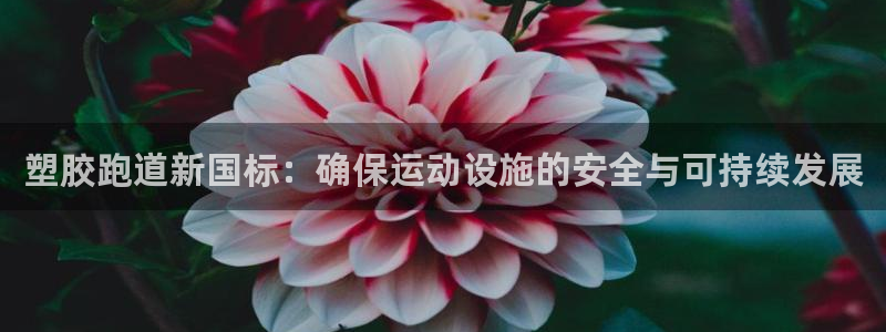 77814红足1世：塑胶跑道新国标：确保运动设施的安全与可持续发展