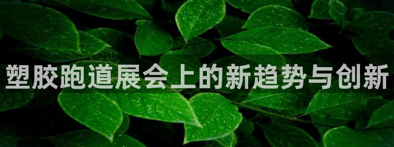 红足1世手机版下载：塑胶跑道展会上的新趋势与创新