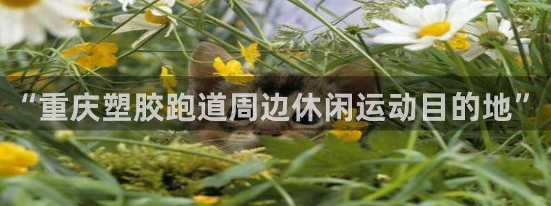 红足1一世红：“重庆塑胶跑道周边休闲运动目的地”