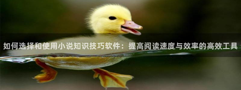 菠萝包小说免费看：如何选择和使用小说知识技巧软件：提高阅读速度与效率的高效工具