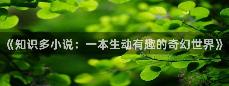菠萝包轻小说现状：《知识多小说：一本生动有趣的奇幻世界》