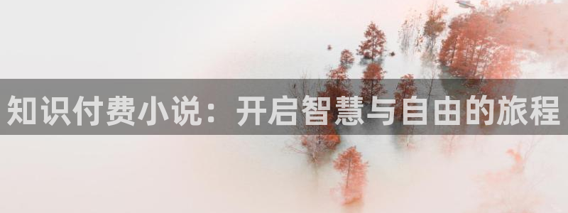 菠萝包小说免费：知识付费小说：开启智慧与自由的旅程