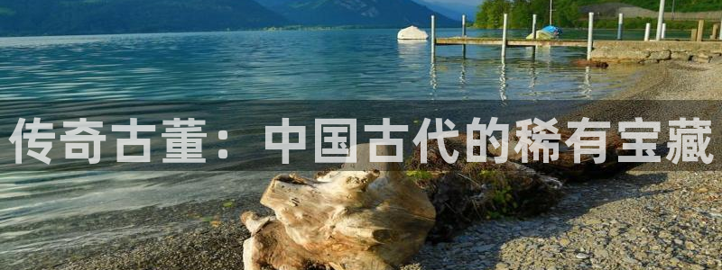 菠萝包轻小说旧版：传奇古董：中国古代的稀有宝藏