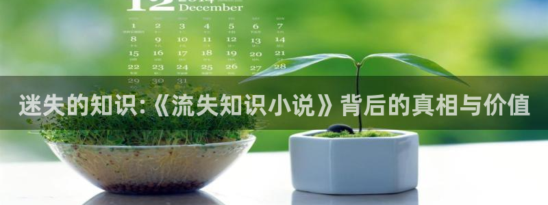 菠萝包免费小说：迷失的知识:《流失知识小说》背后的真相与价值