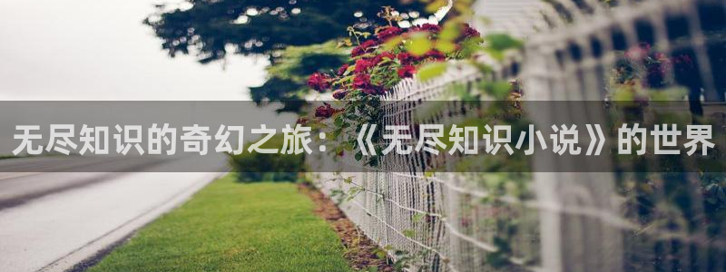 菠萝包轻小说app：无尽知识的奇幻之旅：《无尽知识小说》的世界