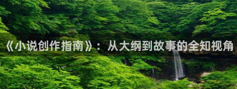 菠萝包轻小说下载安装：《小说创作指南》：从大纲到故事的全知视角